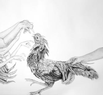 "Cock Fight" by Dana Harel